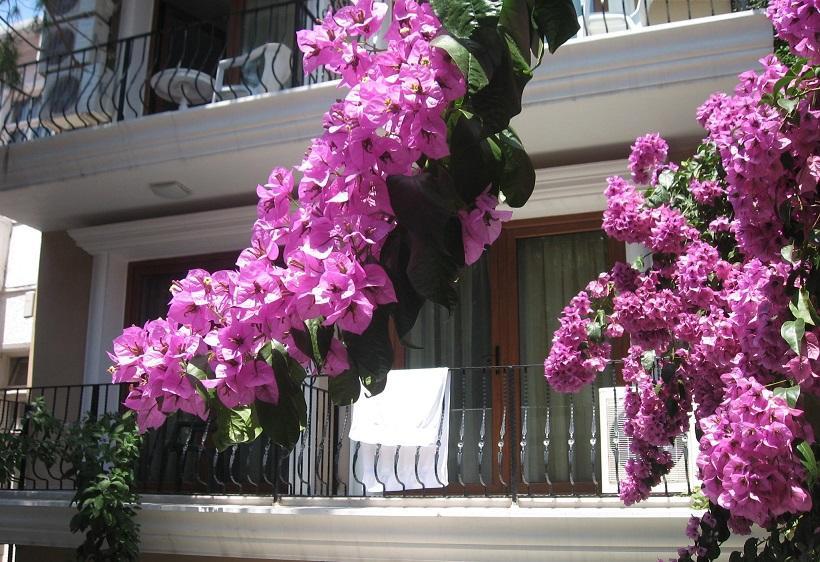 Kumsal Butik Otel Adalar Exterior foto